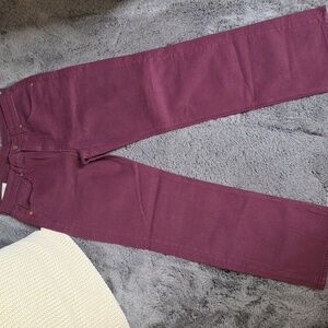 GAP New Mid-Rise '90s Loose Plum Jeans with Washwell  28 Regular 6